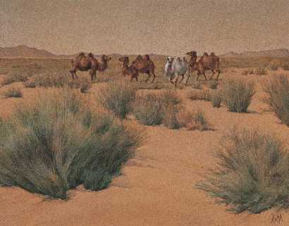 汪志杰 沙漠中的骆驼